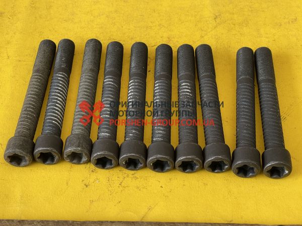 Болти ГБЦ Газель, Волга ЗМЗ 405,406,409 з навивкою "TORX" (під шестигранник, комплект) "ЗМЗ"